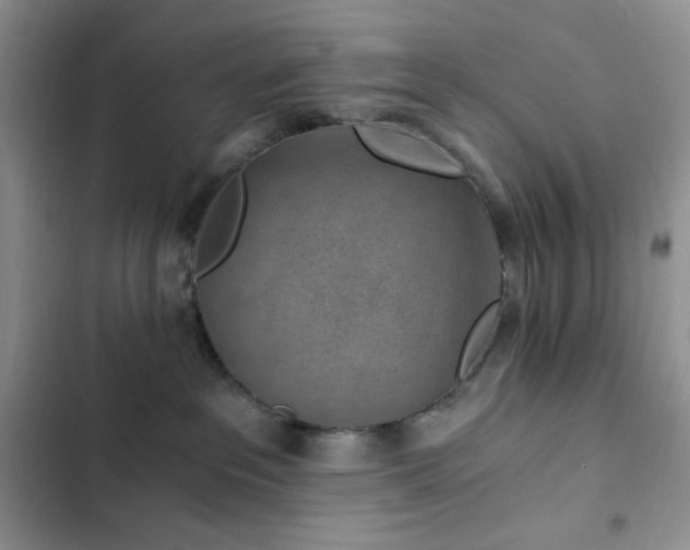 X0000103160237200808221401