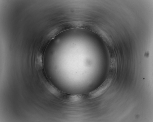 X0000103160238200808221401