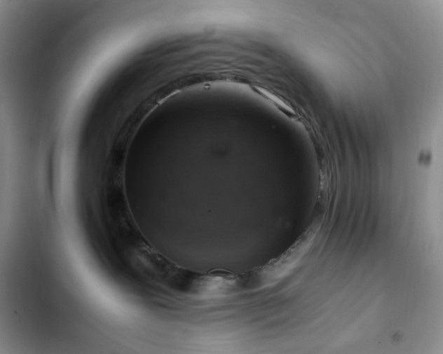 X0000103160239200808221401