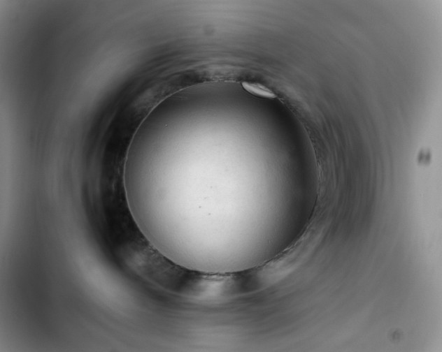 X0000103160240200808221401