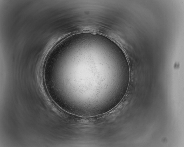X0000103160241200808221400