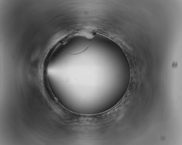 X0000103160242200808221400