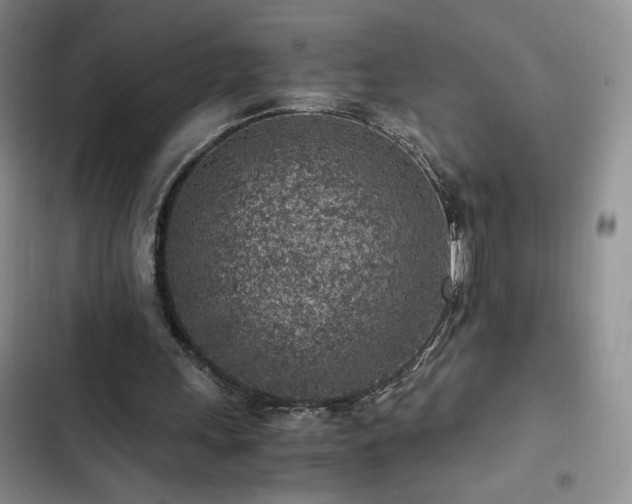 X0000103160243200808221400