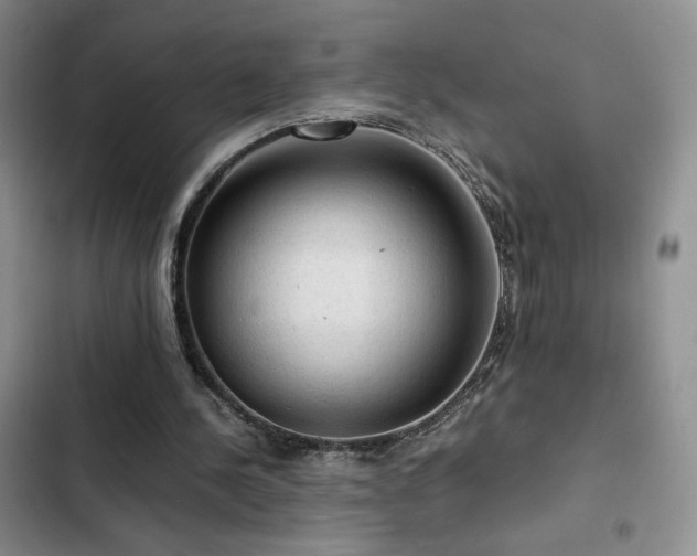 X0000103160244200808221400