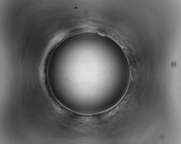 X0000103160245200808221400