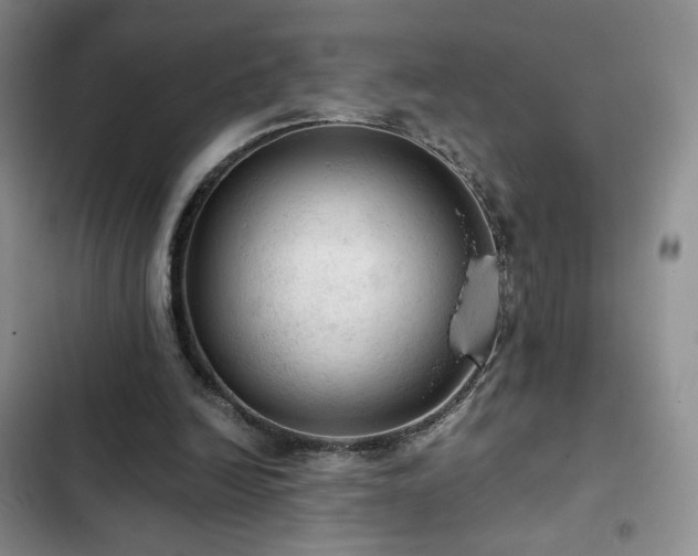 X0000103160246200808221400