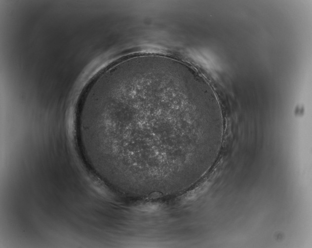 X0000103160247200808221401