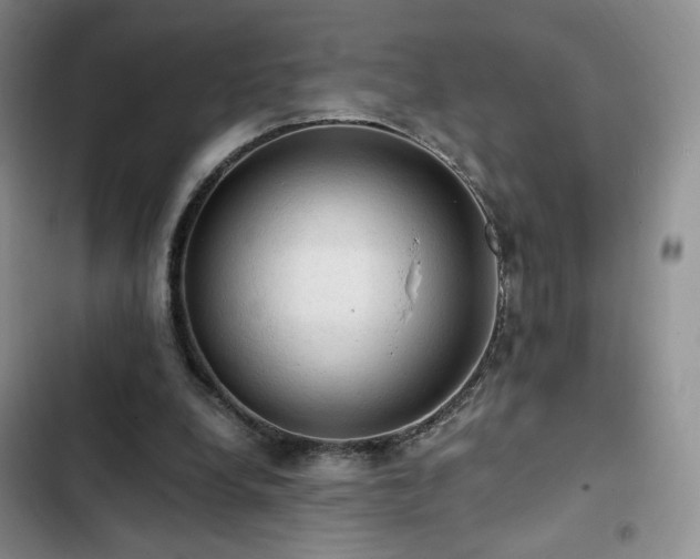 X0000103160248200808221401