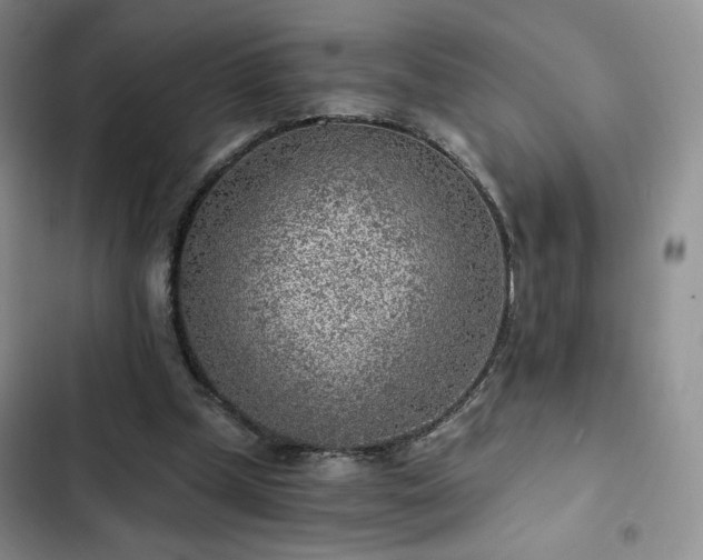 X0000103160249200808221401