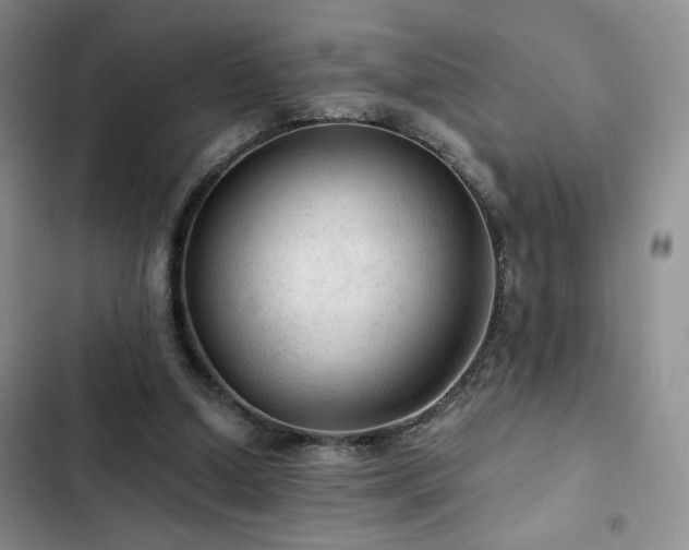 X0000103160250200808221401