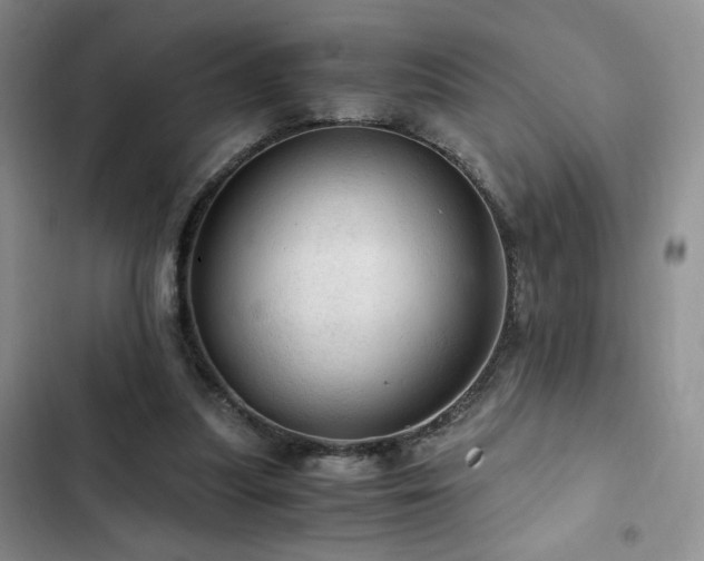 X0000103160251200808221401