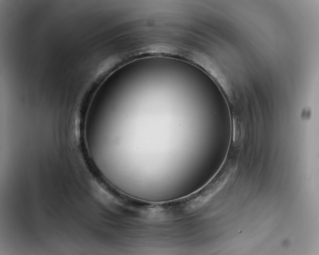 X0000103160253200808221401
