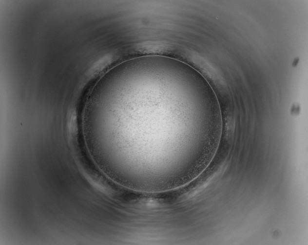 X0000103160254200808221401