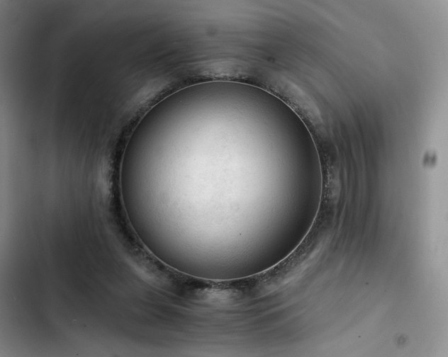 X0000103160255200808221401