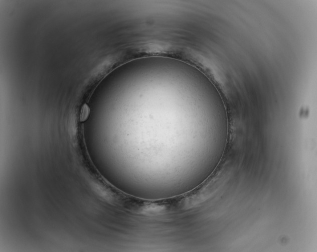 X0000103160257200808221401