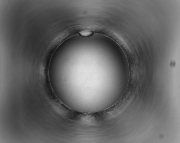 X0000103160258200808221401