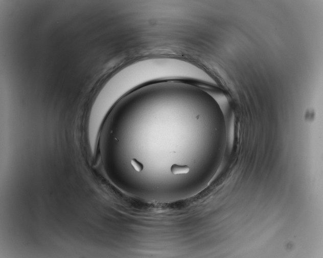 X0000103160260200808221401