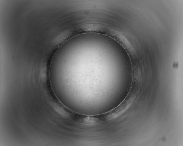 X0000103160261200808221401