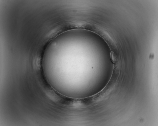 X0000103160262200808221401