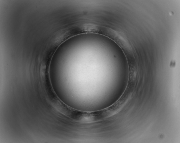 X0000103160263200808221401
