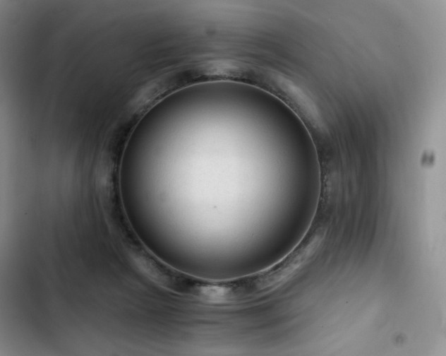 X0000103160265200808221401