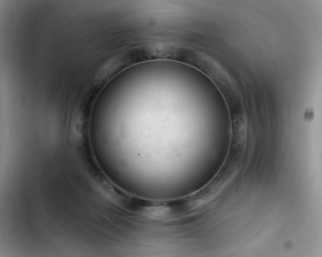 X0000103160266200808221401