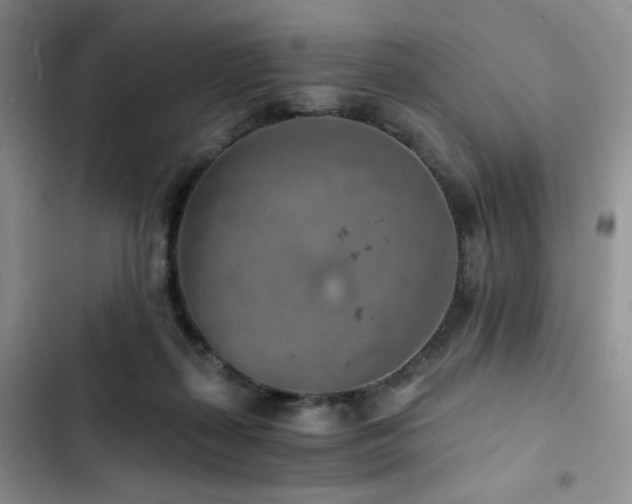 X0000103160267200808221401