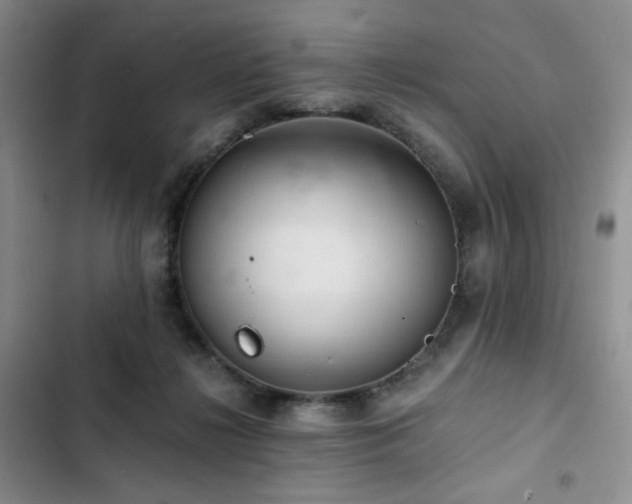 X0000103160268200808221401