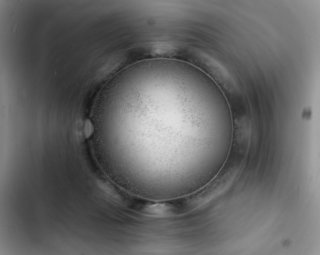 X0000103160269200808221401