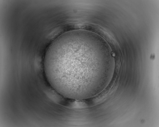 X0000103160270200808221401