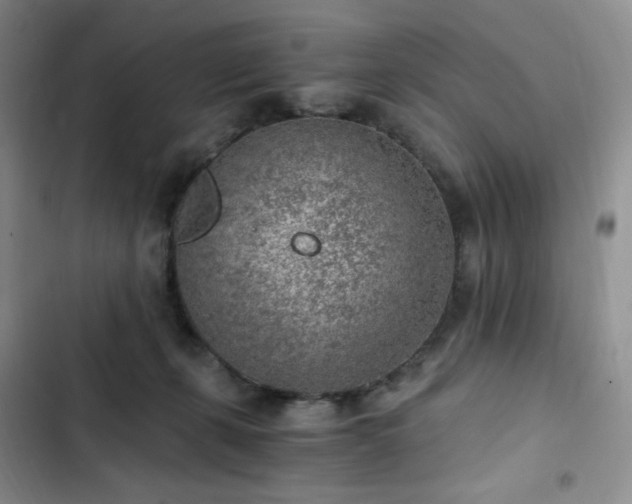 X0000103160271200808221401