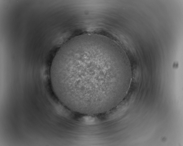 X0000103160272200808221401