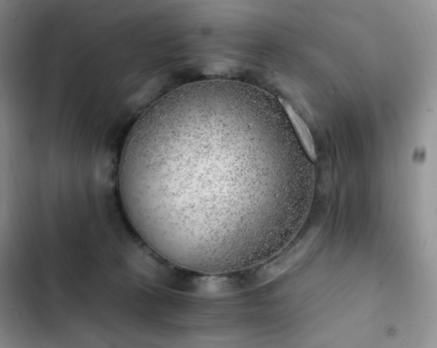 X0000103160273200808221401