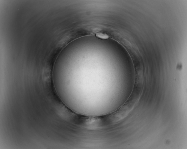 X0000103160274200808221401