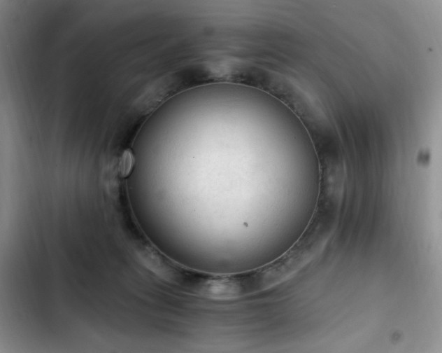 X0000103160275200808221401