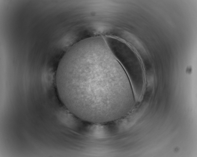 X0000103160276200808221401