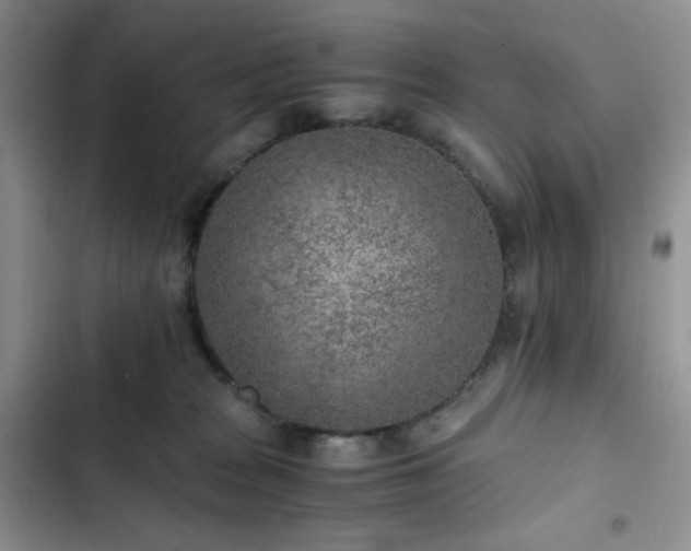 X0000103160277200808221401