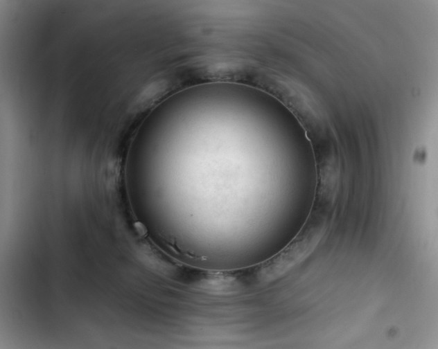 X0000103160278200808221401