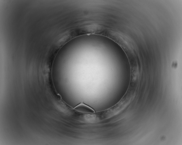 X0000103160279200808221401