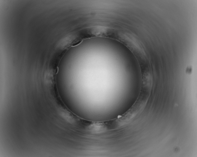X0000103160280200808221401