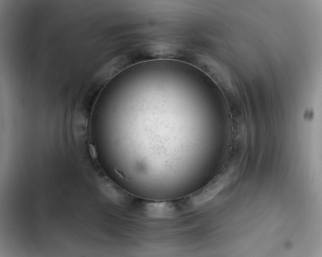 X0000103160281200808221401