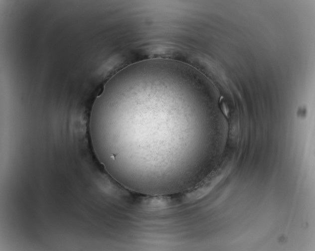 X0000103160282200808221401