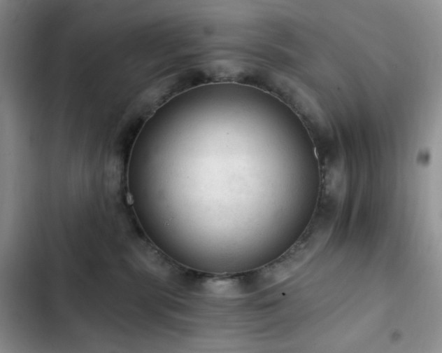 X0000103160283200808221401