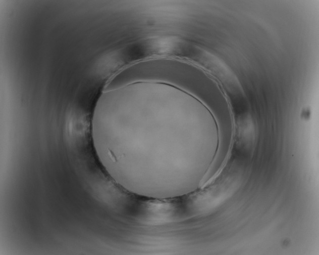 X0000103160284200808221401