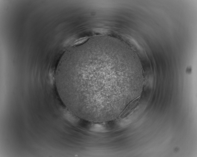 X0000103160285200808221401