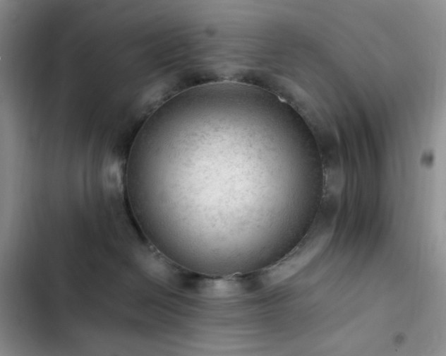 X0000103160286200808221401