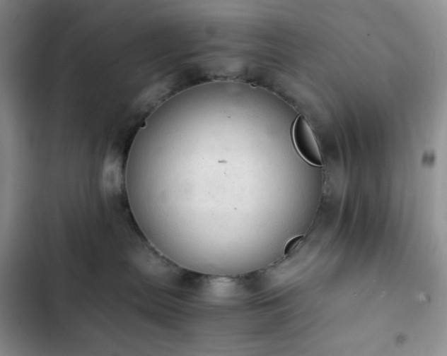 X0000103160287200808221401