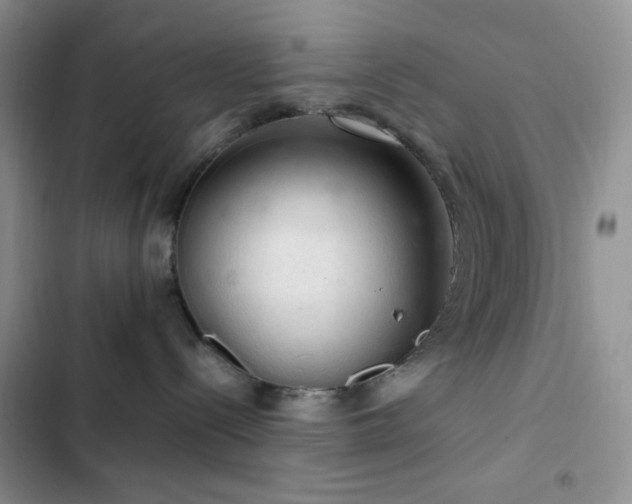 X0000103160288200808221401