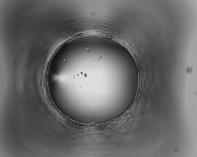 X0000103160289200808221400