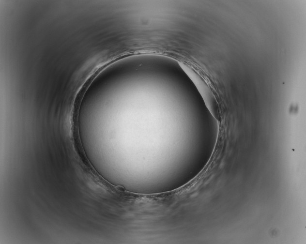 X0000103160290200808221400